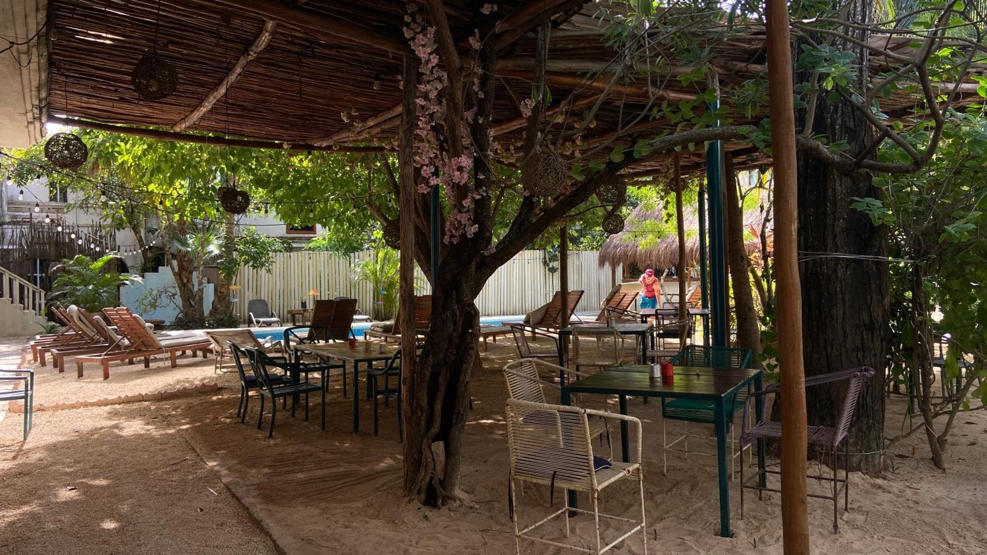 Nature Stay (Adults Only) Playa del Carmen Luaran gambar