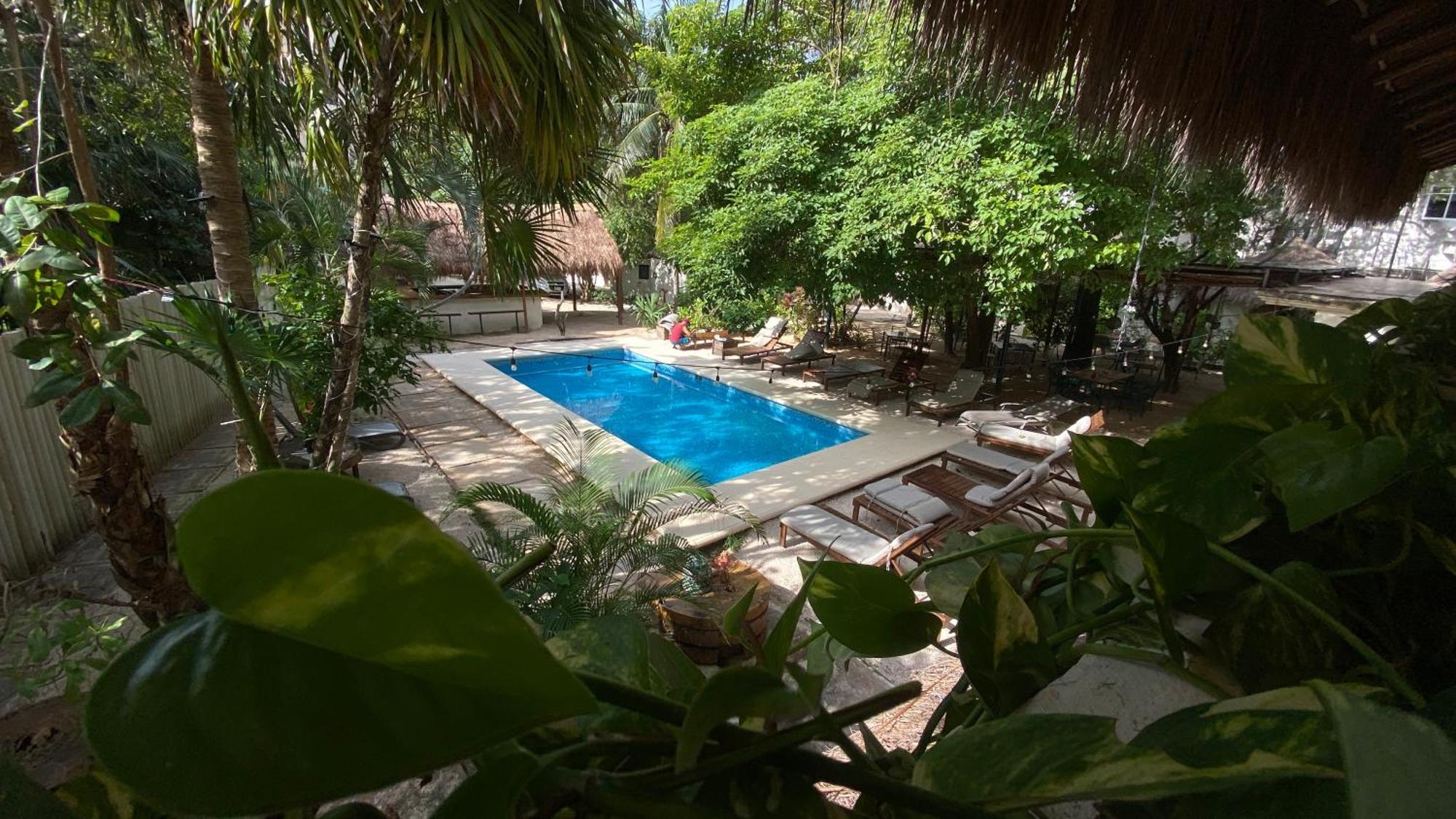 Nature Stay (Adults Only) Playa del Carmen Luaran gambar